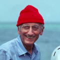 profile avatar picture